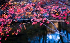 坐在学长的大东西上做作业